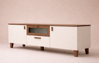 The Mist Tv Unit
